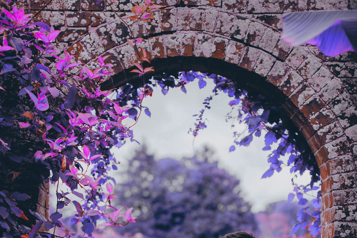 454 Infrared Fantasy Pro LUTs, a Preset Add-On by ShutterPro (Photo 34 of 48)