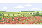 Farm countryside landscapes set, a Seasonal Illustration by Good Studio (Thumbnail 3 of 5)