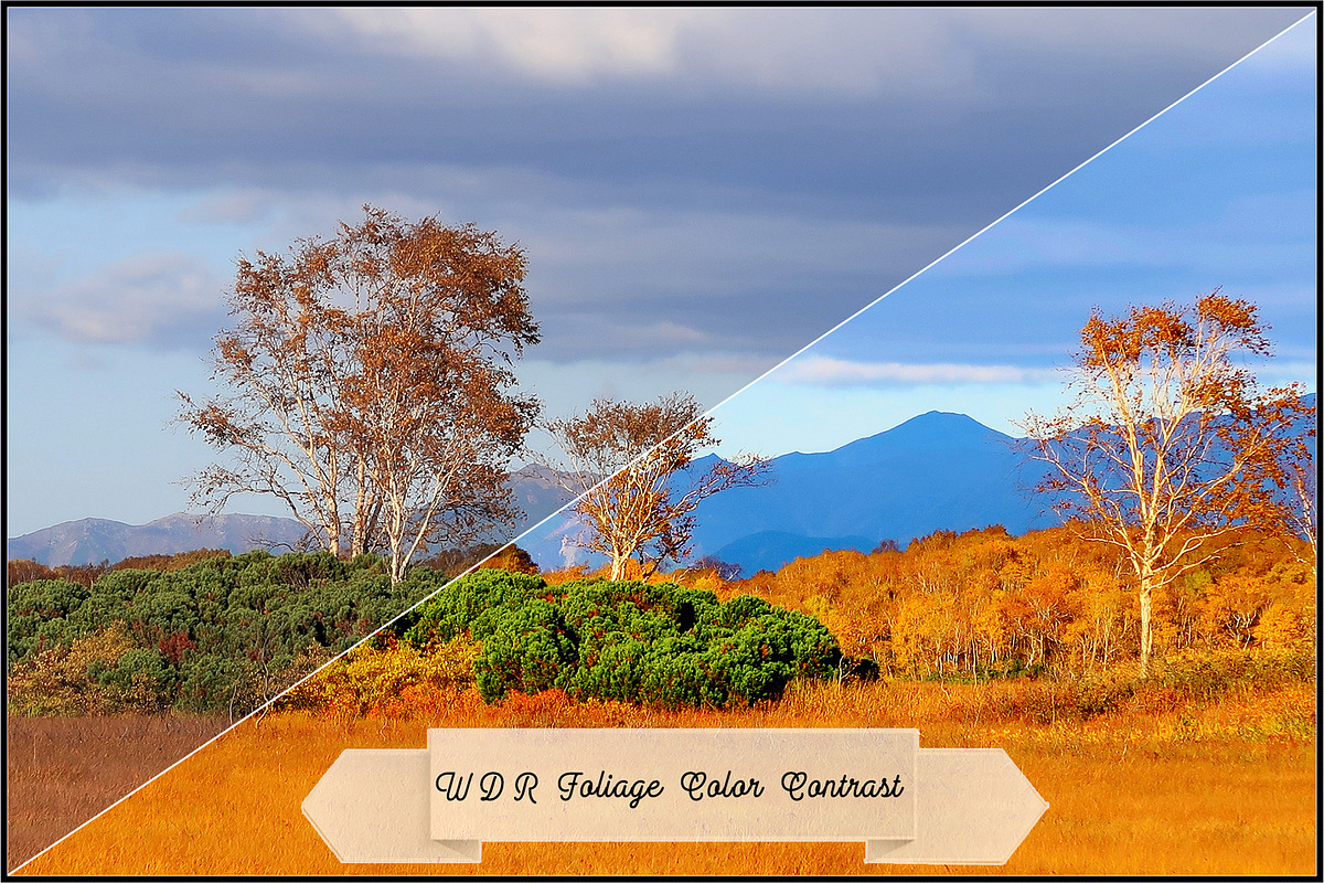 Wide Dynamic Range - Foliage preview 3