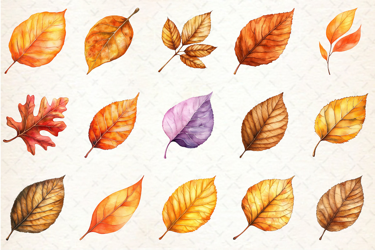 Watercolor Autumn Leaves clipart, an Illustration by Rose Art (Photo 2 of 4)