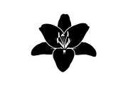 Black Lily Flower Vector Bundle, an Illustration by Designs_River (Thumbnail 9 of 51)