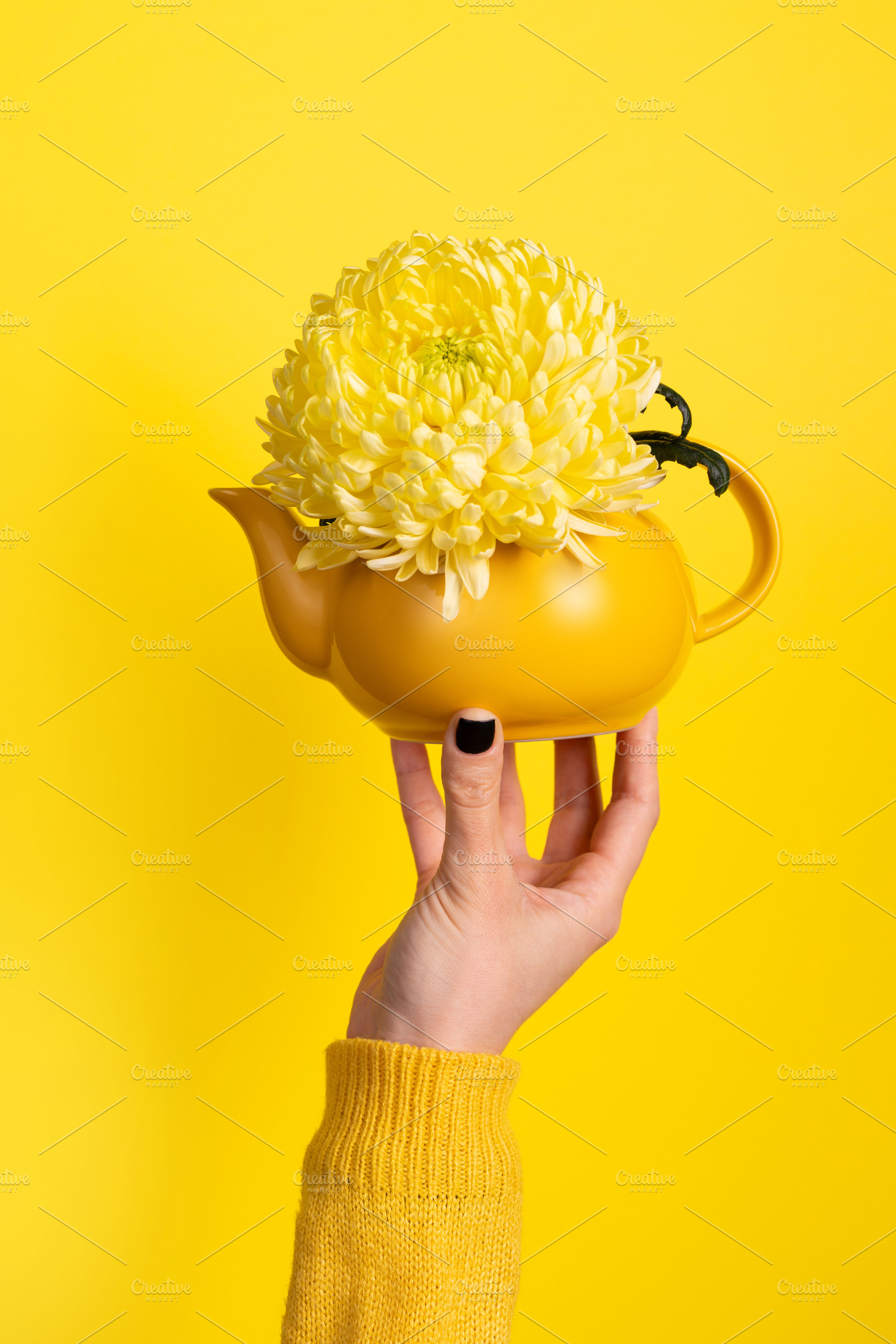 Hand holding a yellow teapot with a blooming chrysanthemum again, an Abstract Photo by Ales Munt