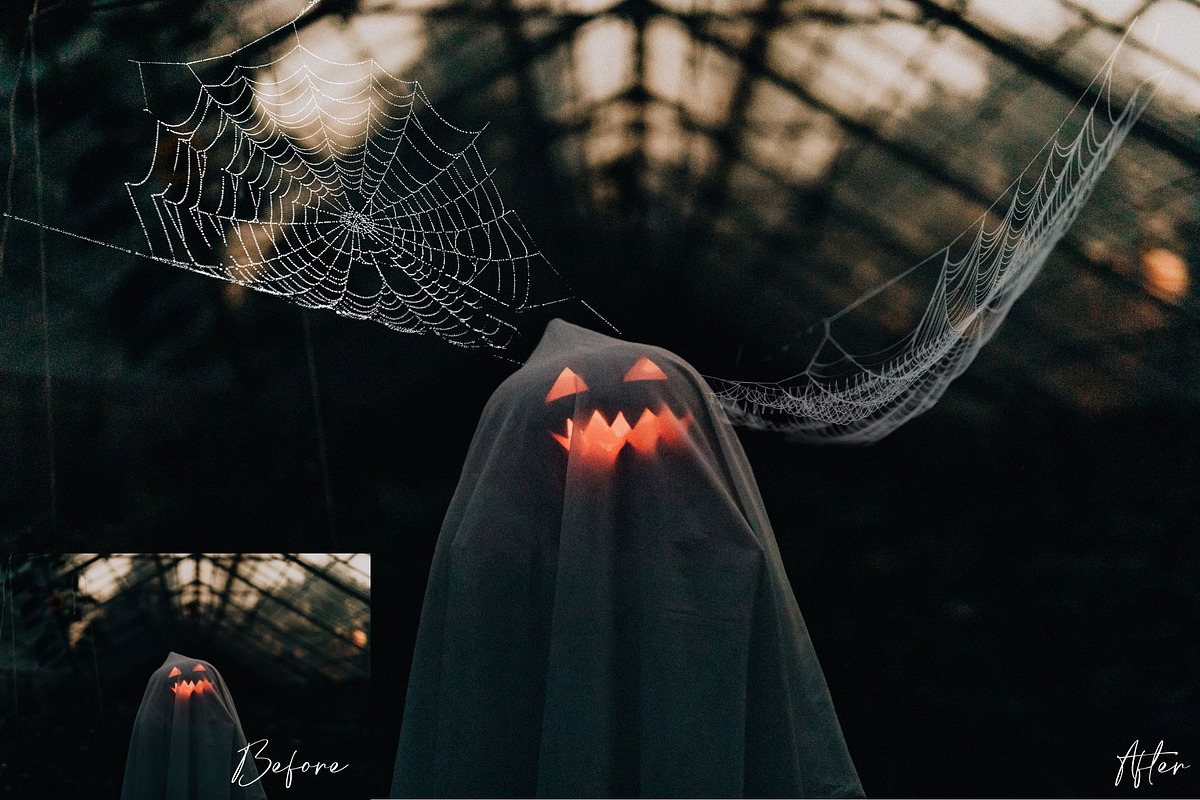 Spiderweb Photoshop Overlays, an Object Graphic by Prestige Photography (Photo 2 of 14)