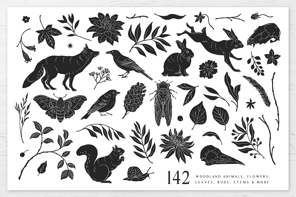 Woodland Shadows Vector Collection, a Decorative Illustration by rouxsupplyco (Photo 9 of 15)