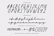 Mockine – Monoline Script Font, a Script Font by Prioritype Co (Thumbnail 9 of 10)
