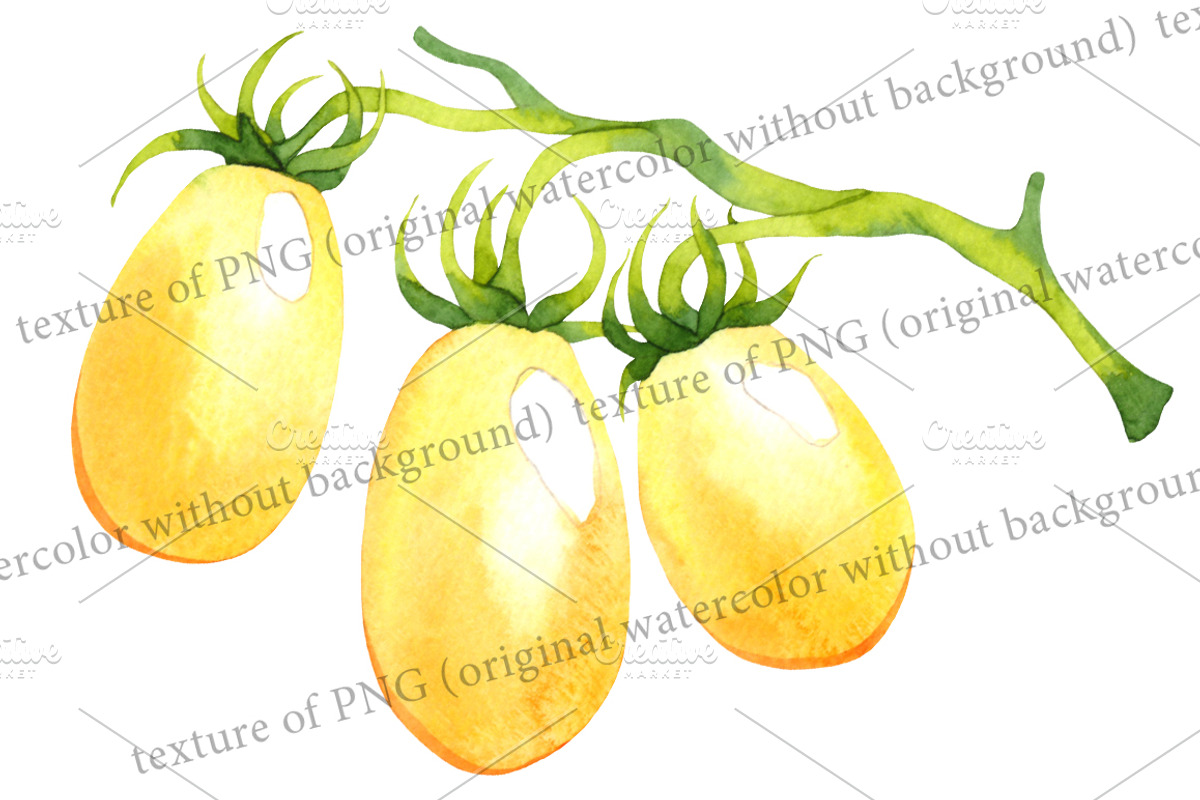Vector watercolor vegetables, a Food Illustration by Evgeniia Zagreeva (Photo 2 of 3)