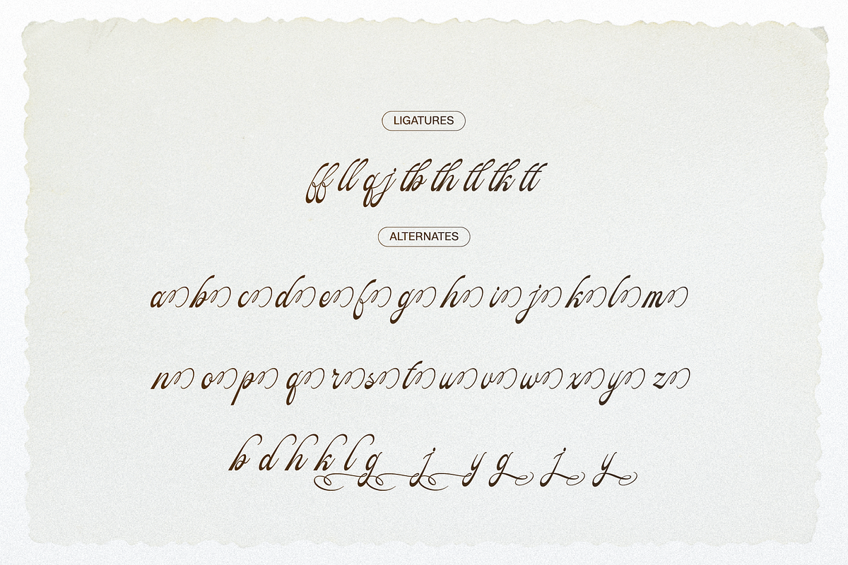 Pitholica Delicate Classic Script, a Script Font by gracetype_studio (Photo 11 of 11)