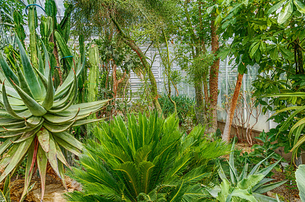 Palm tree stock photo containing background and beautiful, a Nature Photo by Grafvision photography