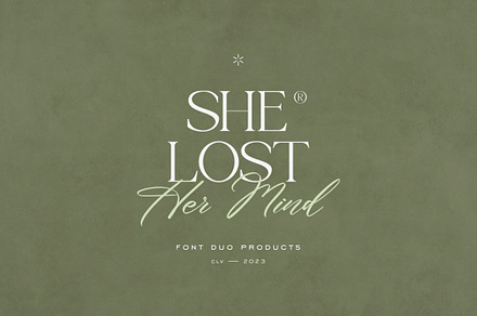 She Lost Her Mind | Font duo, a Serif Font by ClevUs