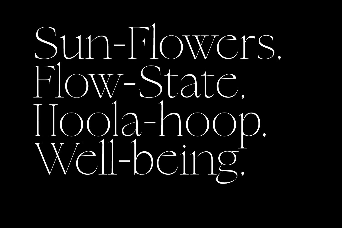 New Tropic - 8 Style Font Family, a Serif Font by Tropical Type (Photo 7 of 15)