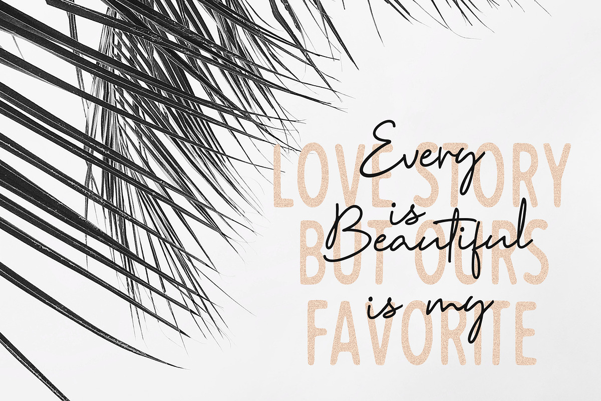 Reinata Font Duo preview 5