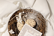 FLORAL WINTER BOX Watercolor Bundle, a Seasonal Illustration by Muse Artist (Thumbnail 78 of 95)