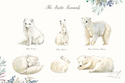 Arctic Christmas Clipart, an Illustration by Twigs and Twine (Thumbnail 2 of 12)