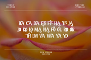 Novaith - Display Retro Font, a Handwritten Font by Dhabee (Thumbnail 6 of 14)