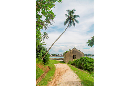 Sri Lanka is an island with a, a Nature Photo by yanadjana