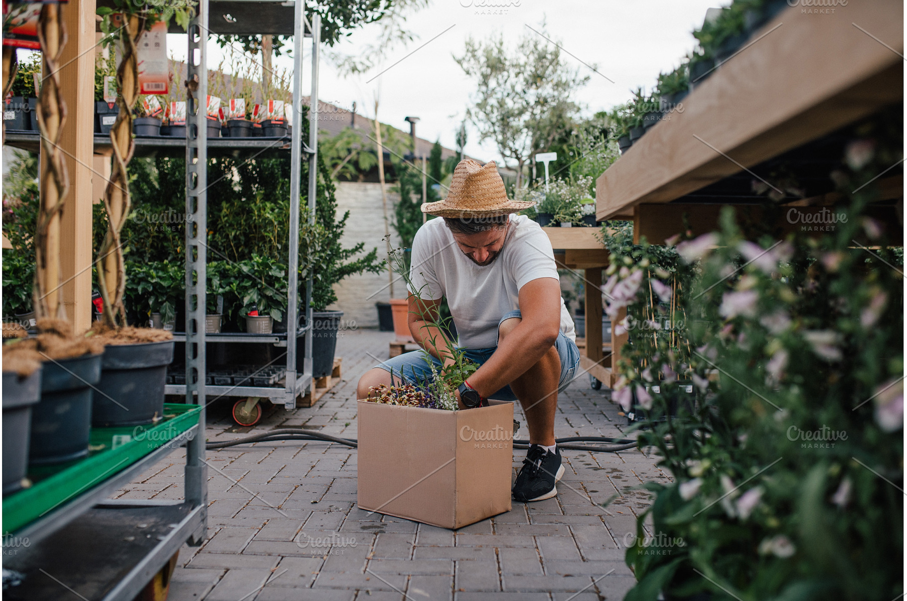 Customer looking at flowers in box, a Person Photo by HalfPoint