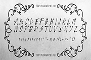 The Cranberries 3 Font, a Script Font by OnlyTheOriginaLs (Thumbnail 8 of 9)