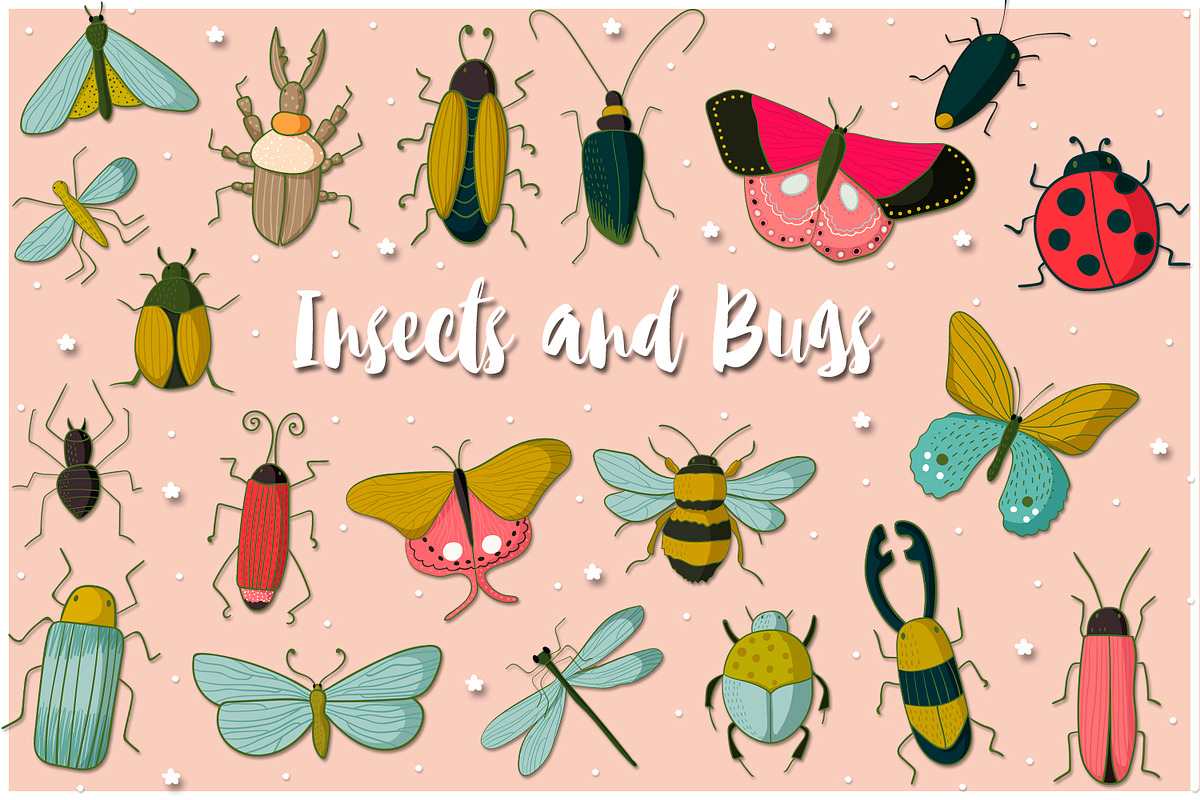 Insects and Bugs, an Illustration by clipick (Photo 1 of 5)