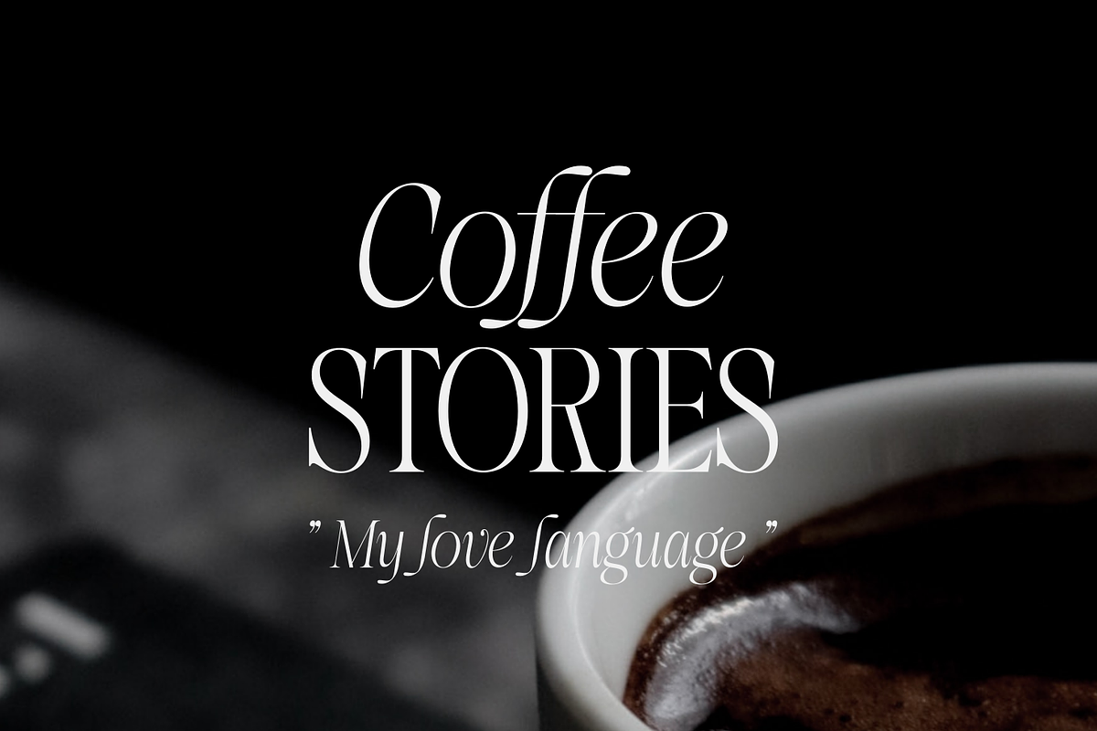 More Bright Serif Duo, a Serif Font by zeenesia (Photo 13 of 18)