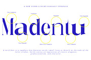 Getina Serif Super Family 243 Fonts, a Serif Font by IM Studio (Thumbnail 5 of 12)