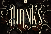 Sorcha Display font + Swashes, a Font by VP Fonts (Thumbnail 14 of 14)