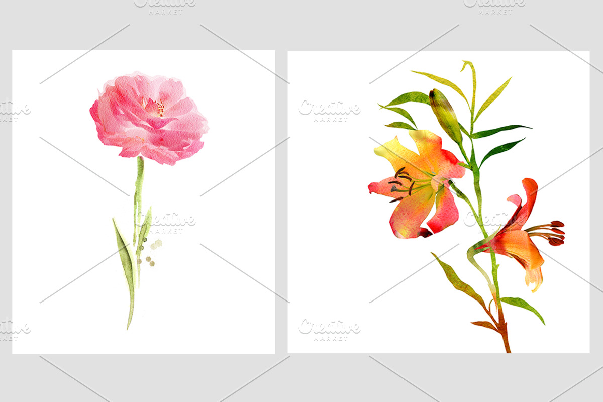 Watercolor flowers. 9 posters, an Illustration by Anna Guz's Store (Photo 3 of 8)