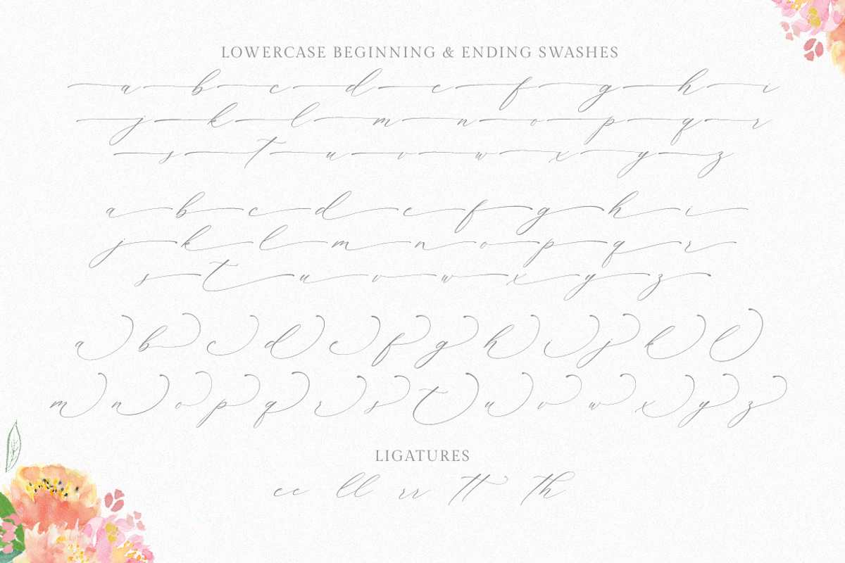 Planolla | Modern Calligraphy preview 8