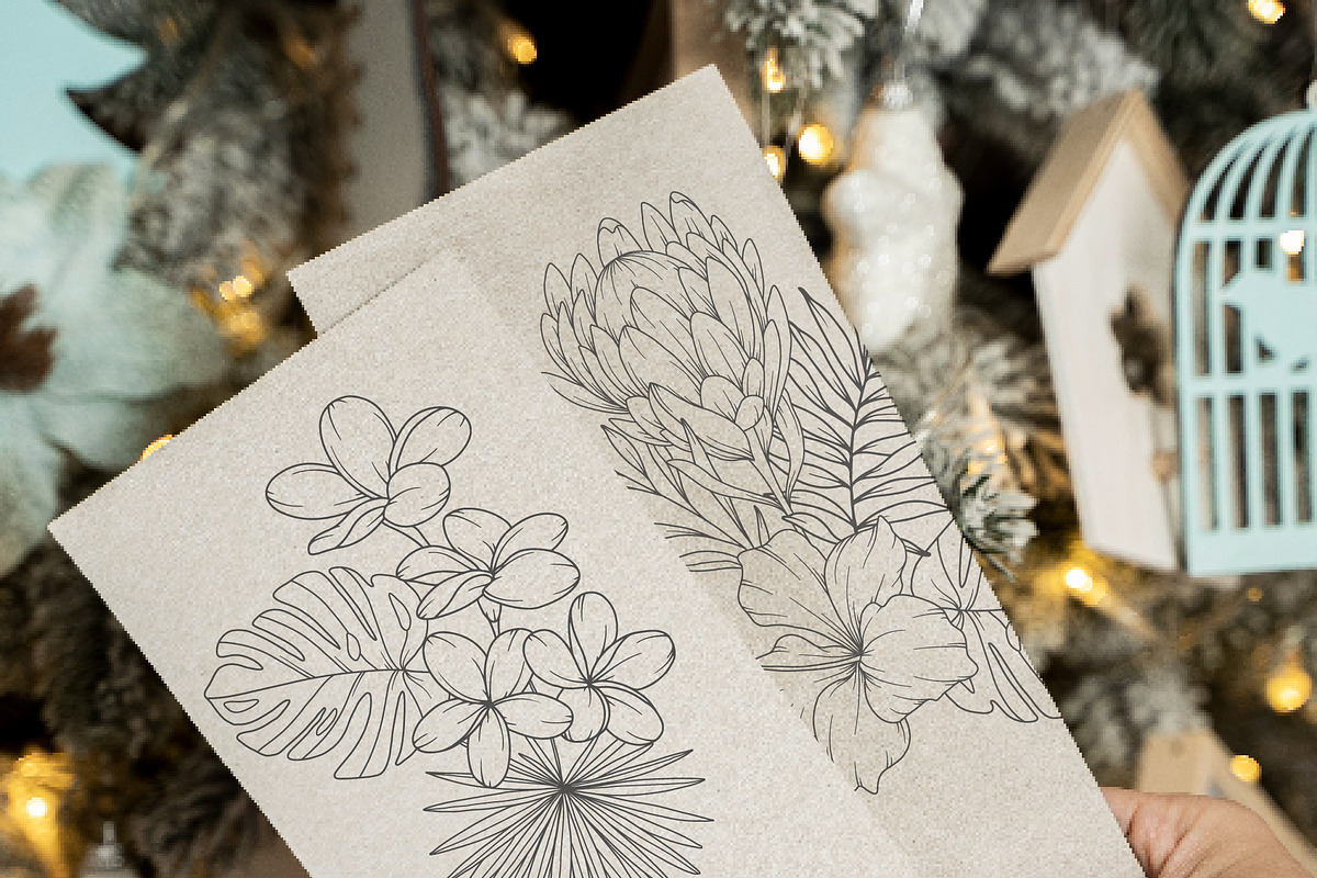 Tropical Plants Line Art, a Seasonal Illustration by CaraulanStore (Photo 9 of 9)