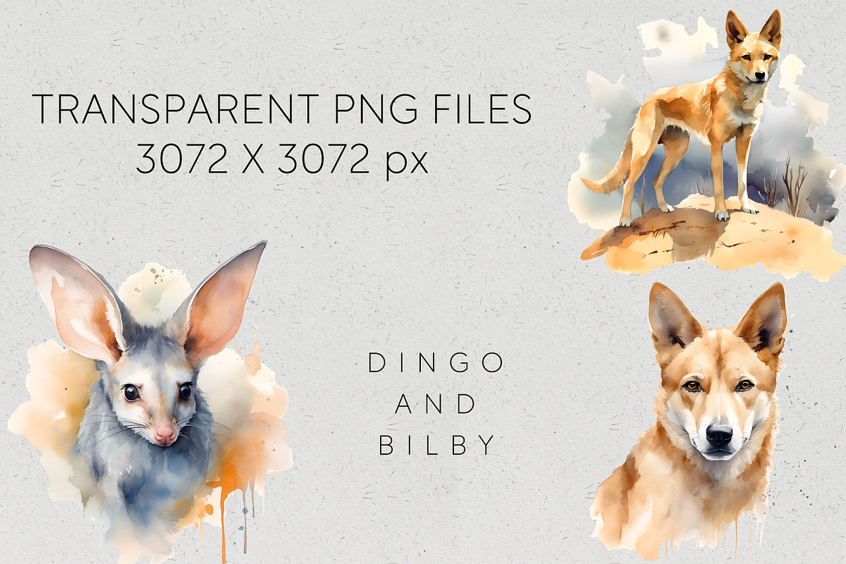 Bulk Australian Animals Clipart PNG, an Animal Illustration by Pawcasso's Portraits (Photo 8 of 10)
