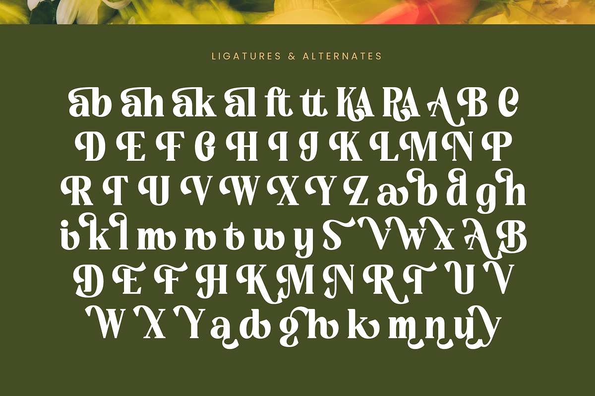 Rusty Drake Bold Serif Display, a Serif Font by timelesstype.co (Photo 19 of 20)