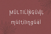 Gleams Serif Display, a Serif Font by Alandya TypeFoundry (Thumbnail 5 of 8)