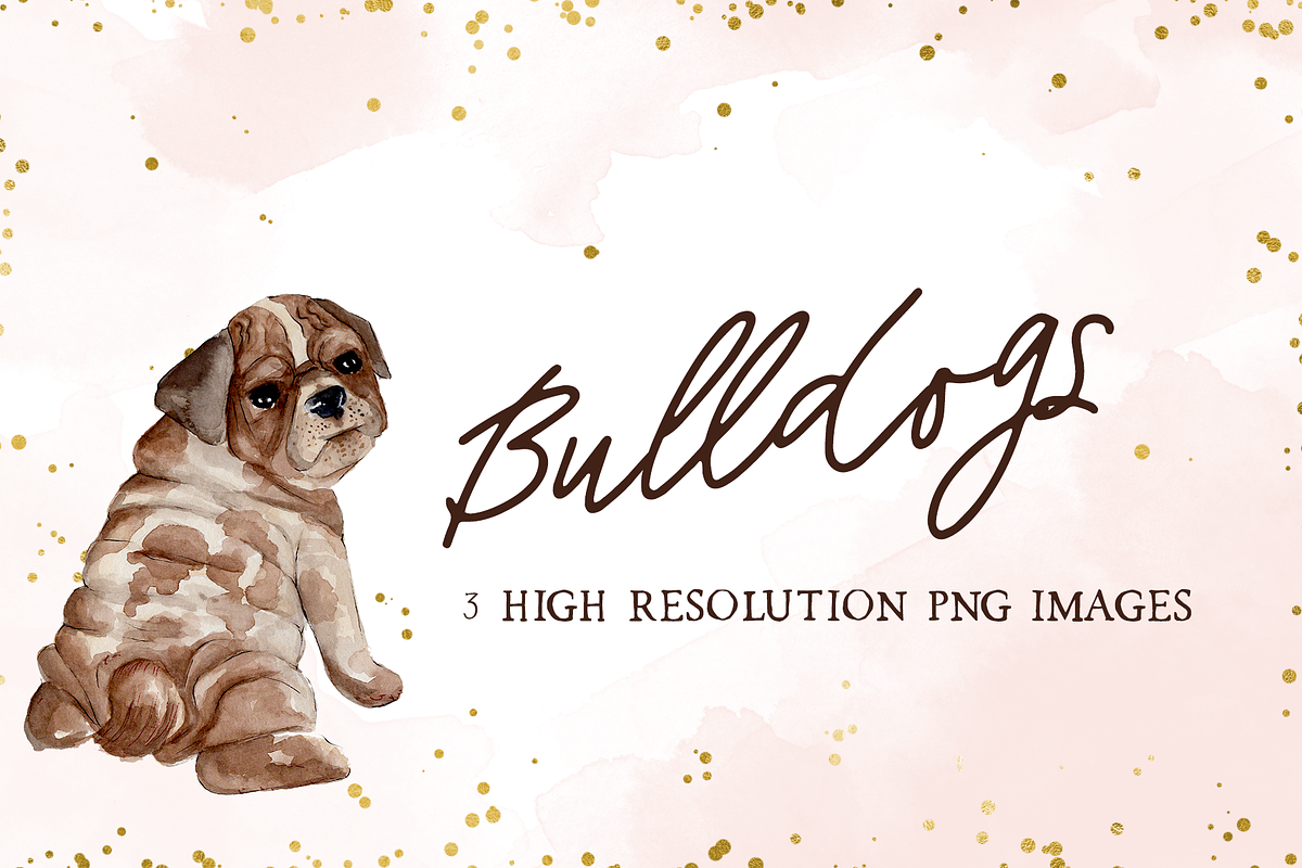 Bulldog Clipart, a Graphic by TigerlilyDesignCo (Photo 1 of 2)