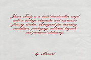 Yours Truly Bold Vintage Script Font, a Script Font by AnMark (Thumbnail 11 of 12)