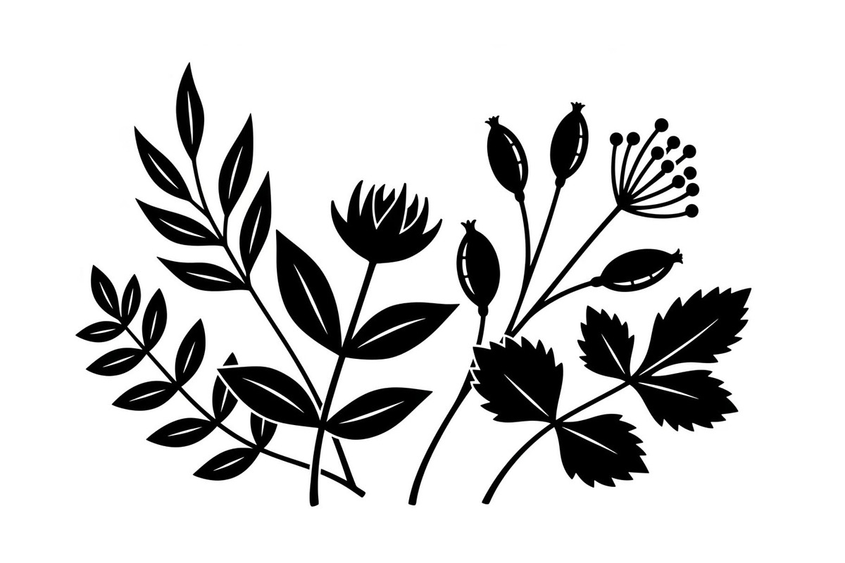Floral Ornament Silhouette Bundle, an Illustration by BIPLOB EXPERT (Photo 46 of 51)