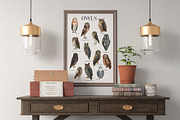 OWLS-watercolor illustrations, an Animal Illustration by KatBranchArt (Thumbnail 3 of 5)