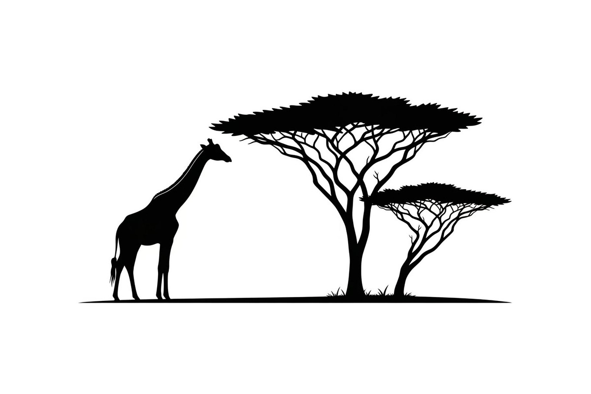 Giraffe Safari Silhouette Vector Bun, an Illustration by Designer_Momina (Photo 30 of 51)