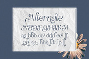 Besluty - Modern Elegant Luxury, a Serif Font by Qweera Studio (Thumbnail 12 of 12)
