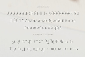 Gamora - Modern Elegant Serif Font