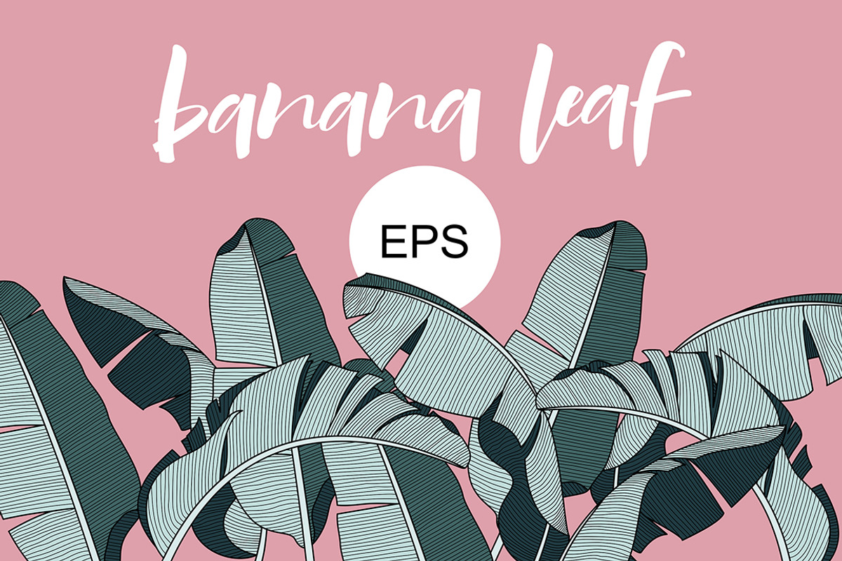Banana leaves vector, a Decorative Illustration by dv_illustration (Photo 1 of 5)
