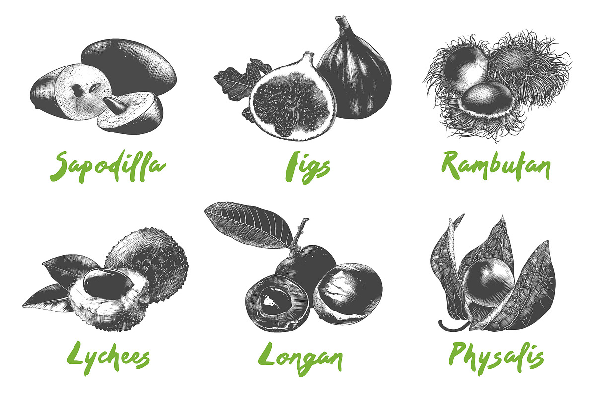 Set of 44 organic food objects, a Decorative Illustration by Akimo Mia (Photo 6 of 10)