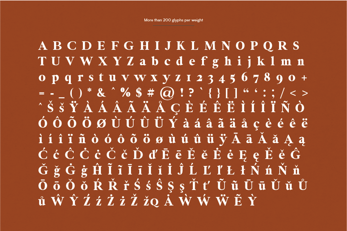 Newburgh Family, a Serif Font by Maison Octave (Photo 10 of 10)