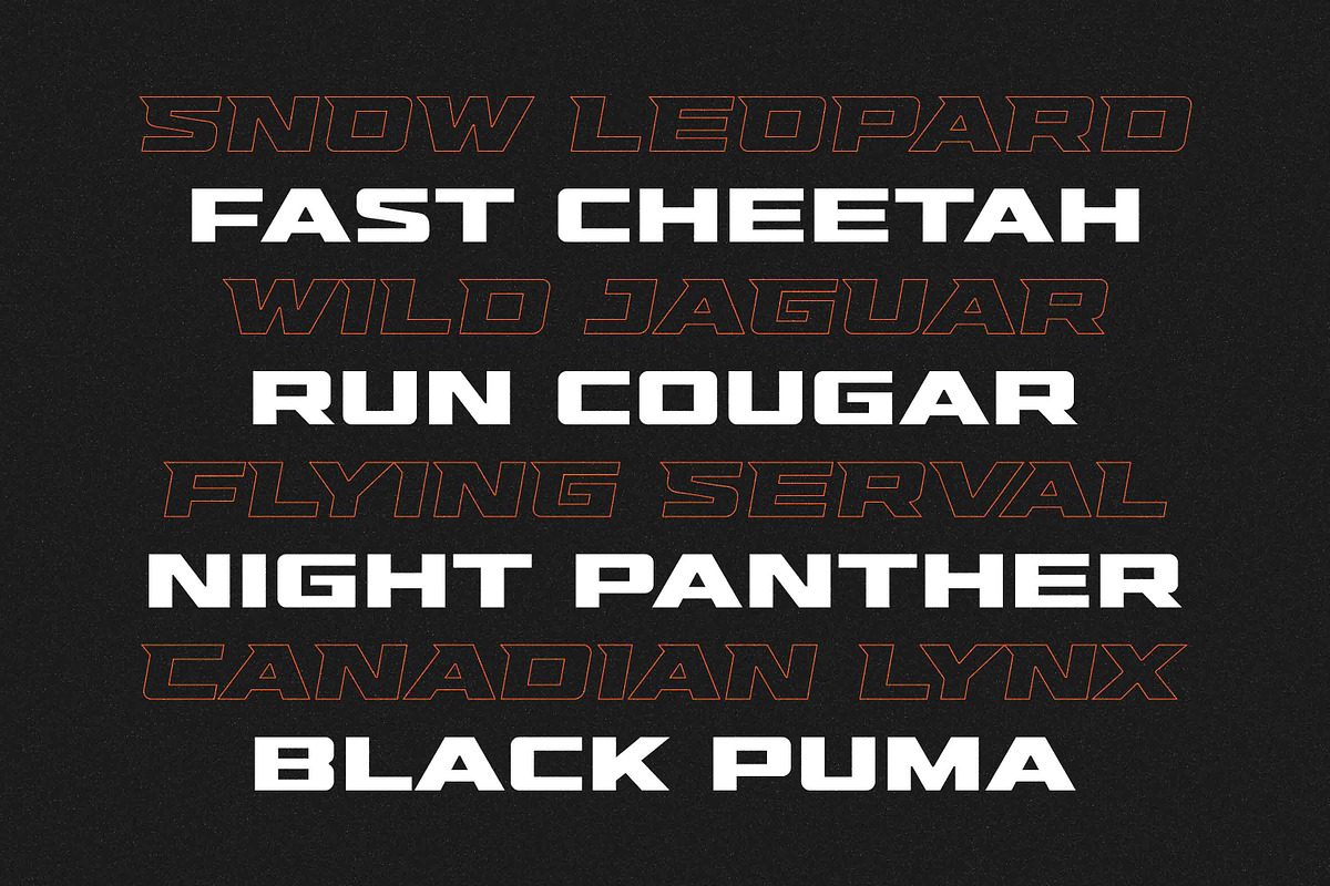 Hunterra - Heavy Expanded, a Sans Serif Font by Variatype (Photo 8 of 8)