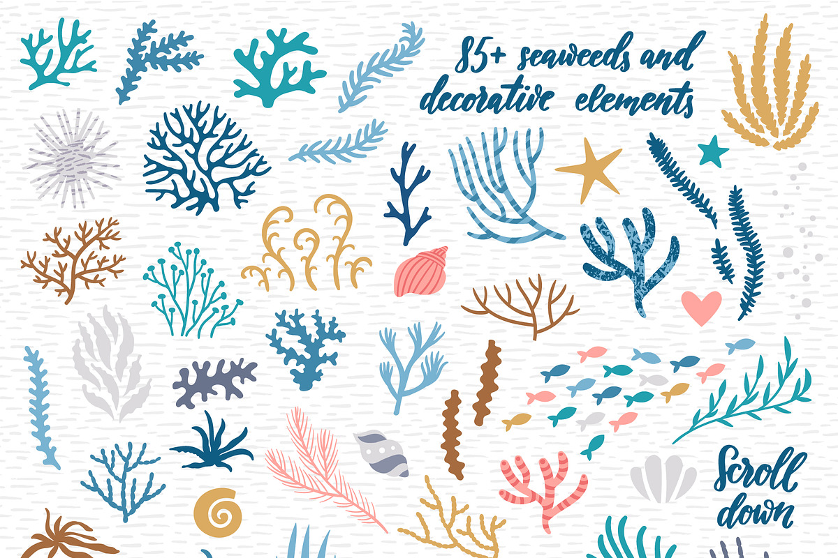 Cute Whales. Characters & patterns, an Animal Illustration by MagicForestory (Photo 2 of 12)