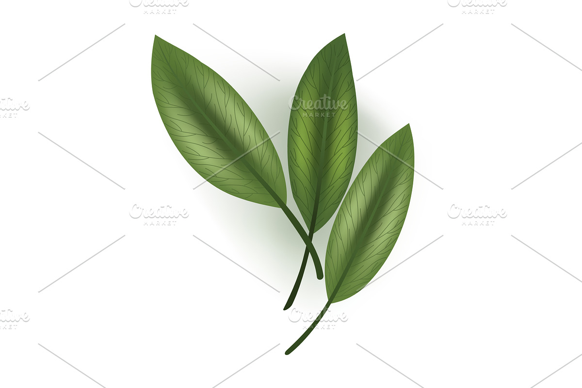 Closeup of three vibrant green, an Object Illustration by Things for designers