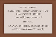 Biors || Modern Serif Font, a Script Font by Idea Studio (Thumbnail 10 of 10)