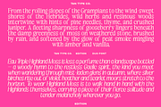TAN-EDITION, a Sans Serif Font by TanType (Thumbnail 8 of 10)