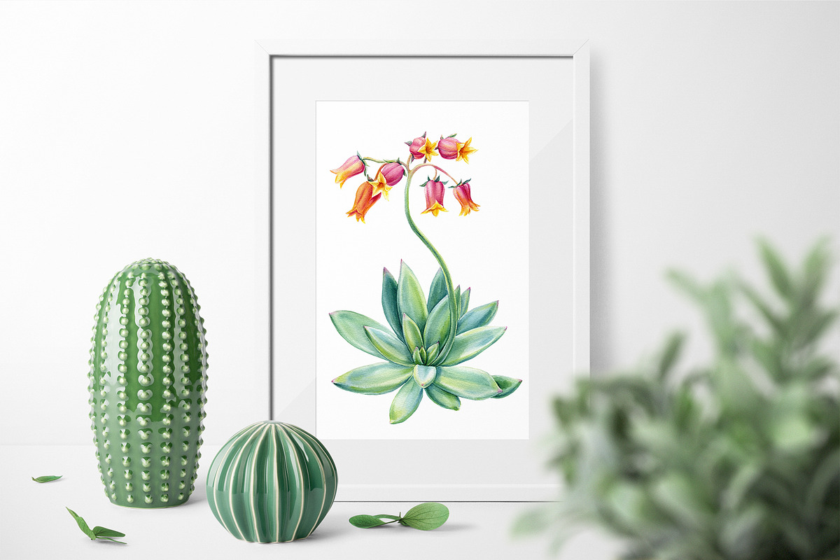 Succulents Botanical Watercolor, a Background Graphic by Hanna Hryharenka (Photo 4 of 15)