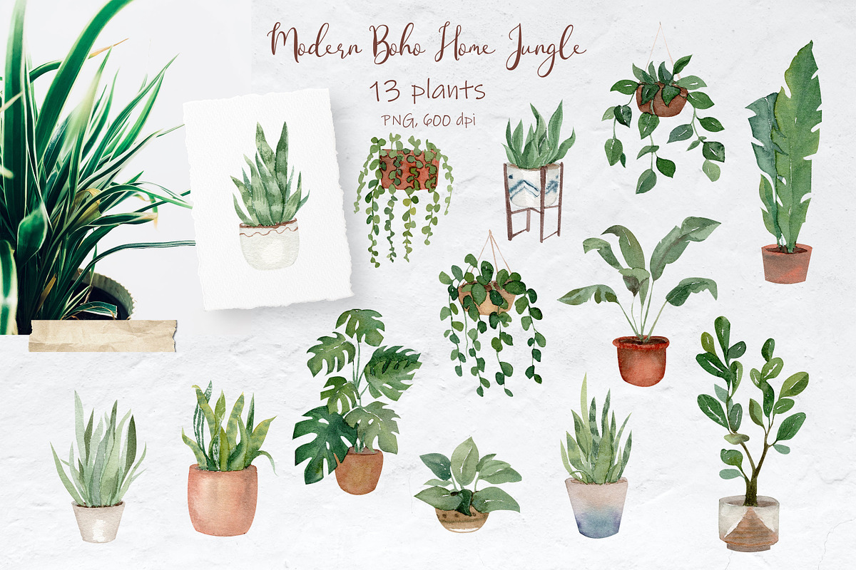 Modern Boho Home Jungle Collection, a Decorative Illustration by Catch the Dream Art (Photo 6 of 15)