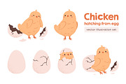 Chicken hatching from egg stages, an Animal Illustration by Good Studio (Thumbnail 1 of 6)