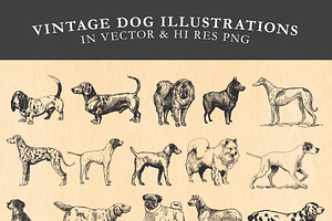 Vintage Dog Illustrations Vector